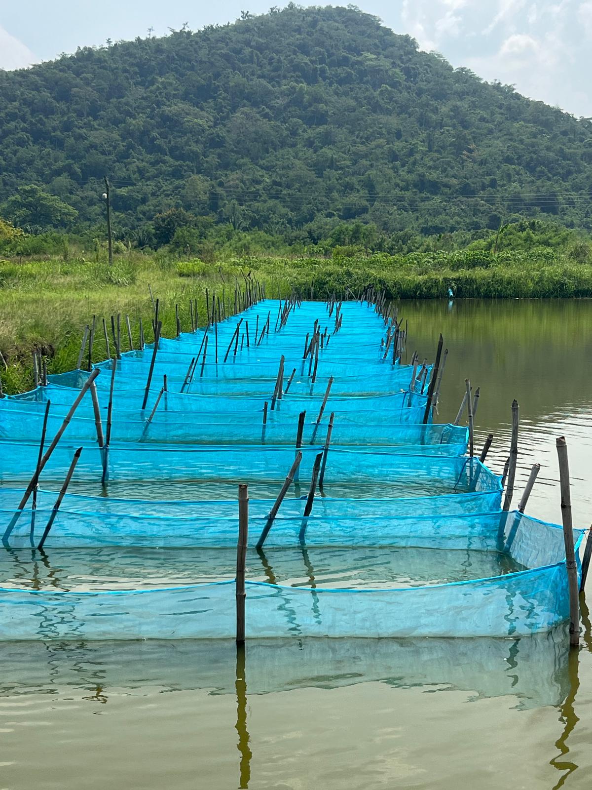 Akosombo Ghana