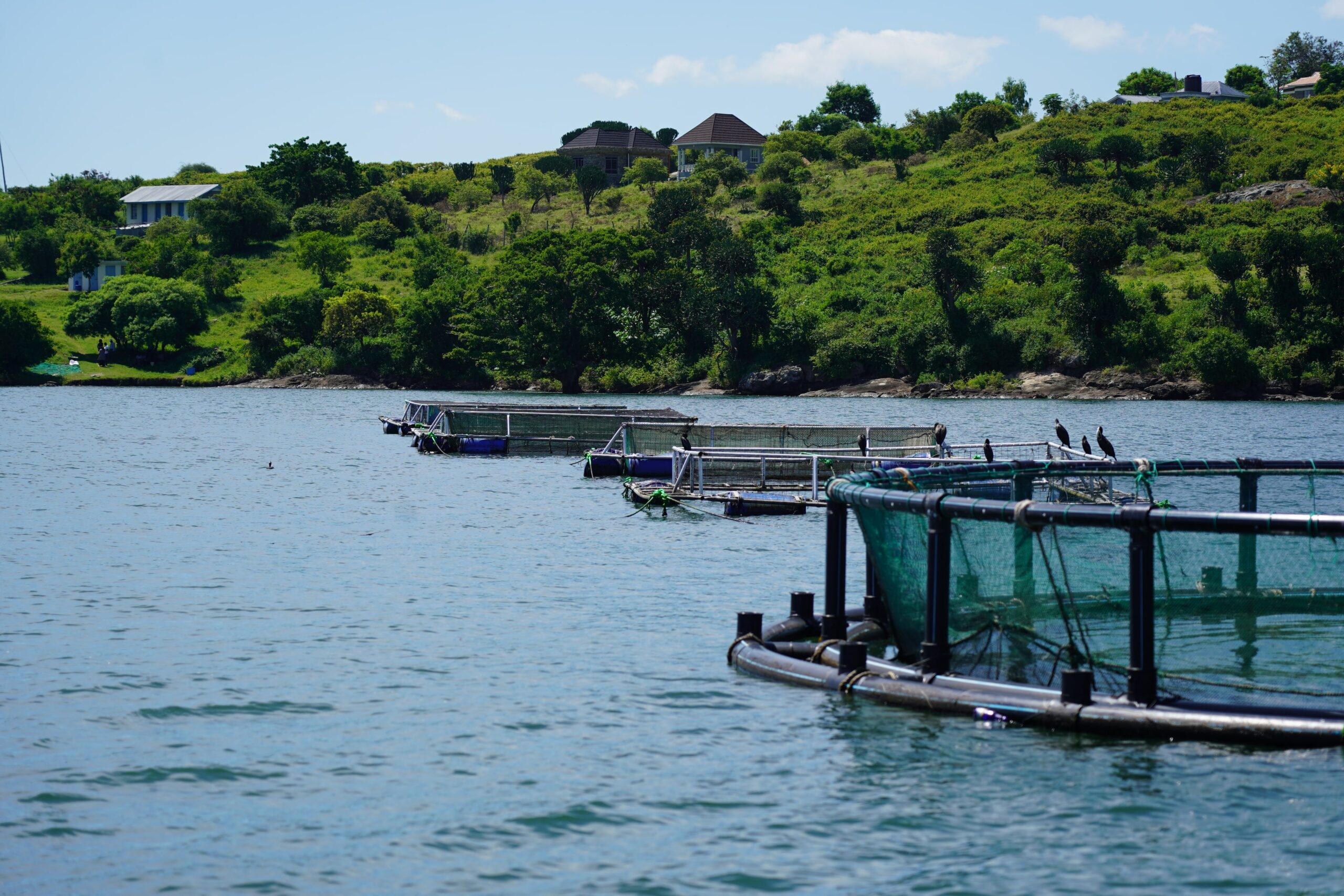 Homabay Kenya